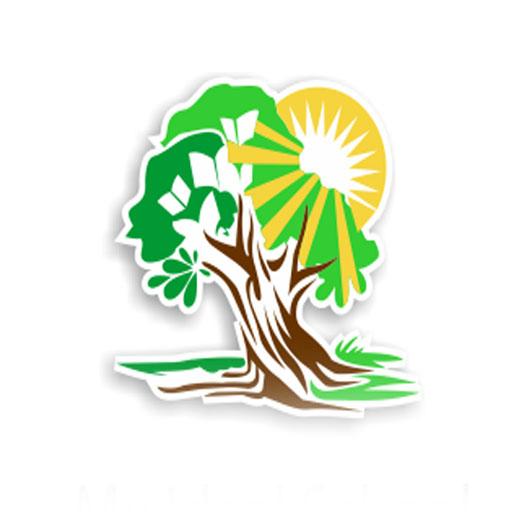 My Ideal School icon