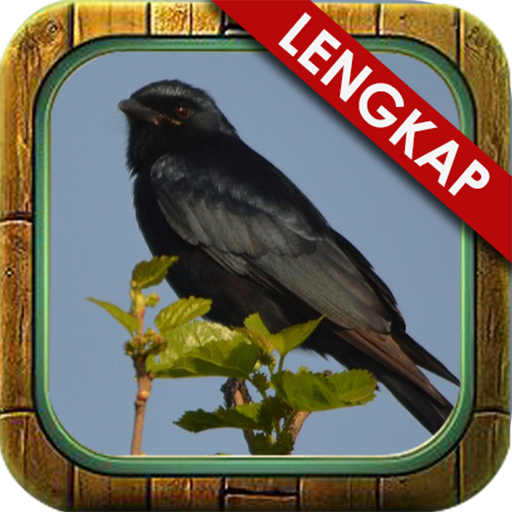 Kicau Master Srigunting Mania icon