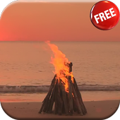 Bonfire on the beach LWP HD icon