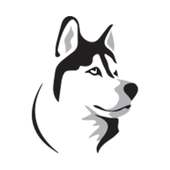 Iditarod Fitness on 9Apps