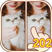 अंतर जानने के 202