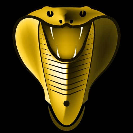 Cobra Media Player icon
