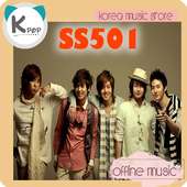 SS501 Offline Music - Kpop