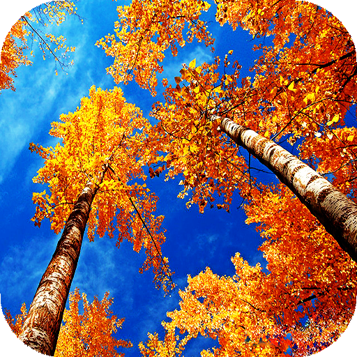 Autumn Live Wallpaper (wallpapers &amp; backgrounds) icon