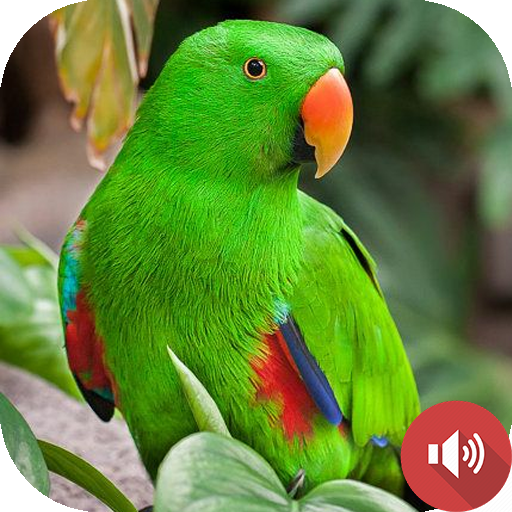 Parrot Sounds icon
