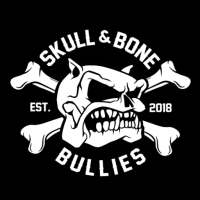 Skull & Bone Bullies on 9Apps