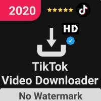 Video Downloader App TikTok No Watermark | SkuyTik