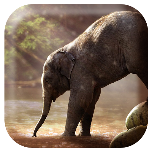 Elephant Sounds icon