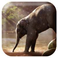 Elephant Sounds on 9Apps