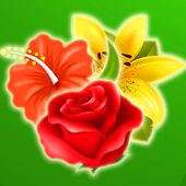 Flower Crush icon