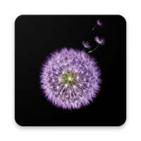 Wallpaper for Galaxy S9 - S9 Plus on 9Apps