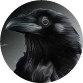 Raven Browser PRO icon