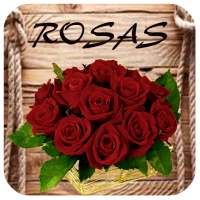 Rosas y Claveles para Compartir