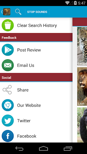 Safari Animal Sounds and List screenshot 8