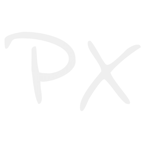 Platform X icon