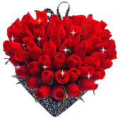 WAStickerApps - Flower Rose Stickers For WhasApp icon