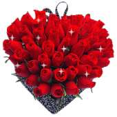 WAStickerApps - Flower Rose Stickers For WhasApp