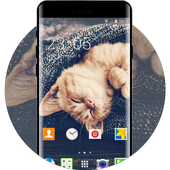 Cute Cat Theme for Karbonn Titanium S99 icon