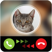 Talking Cat Calling Prank icon
