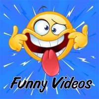 Funny Video Clips