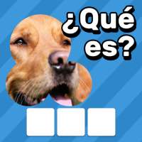 Zoom Quiz: Juego de Imágenes