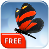Butterfly 3D  Live Wallpaper icon