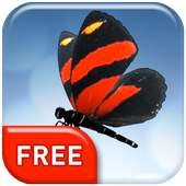 Butterfly 3D  Live Wallpaper