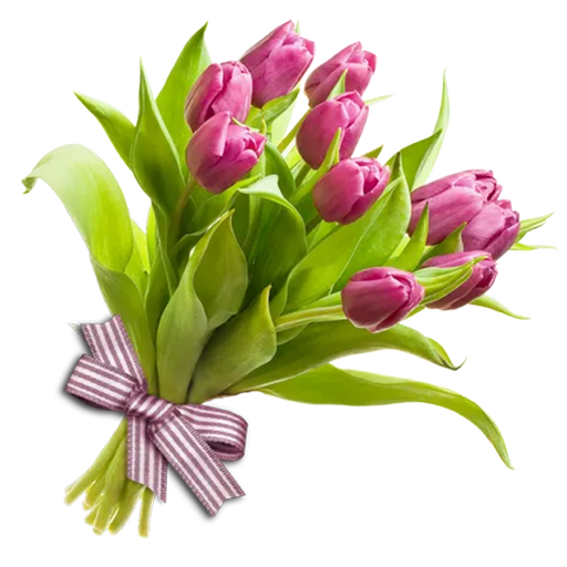 Tulip stickers for WhatsApp and Telegram icon