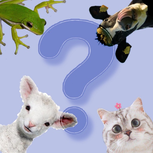 Guess the animal voice icon
