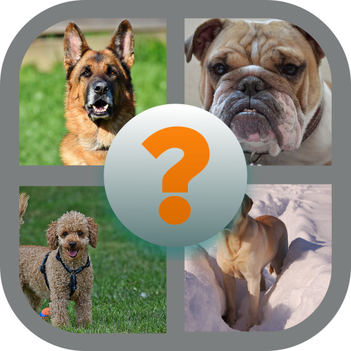 Adivina la raza de perro quiz icon