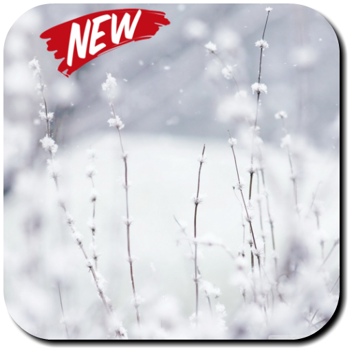 Snow Wallpapers icon