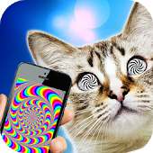 Hypnotizer For Cats Simulator