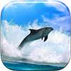 Dolphin Live Wallpaper on 9Apps