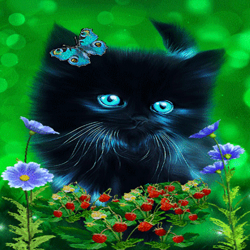 Butterfly Cat Live Wallpaper icon