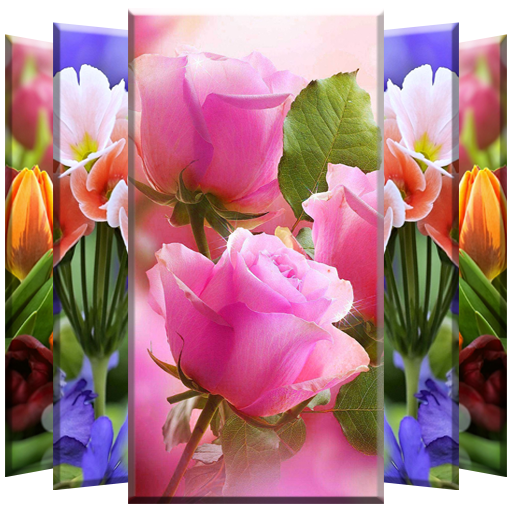 Flower Wallpaper icon