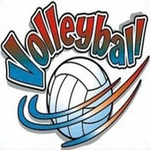 Volley Ball Champs icon