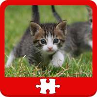 Gatti e gattini puzzle