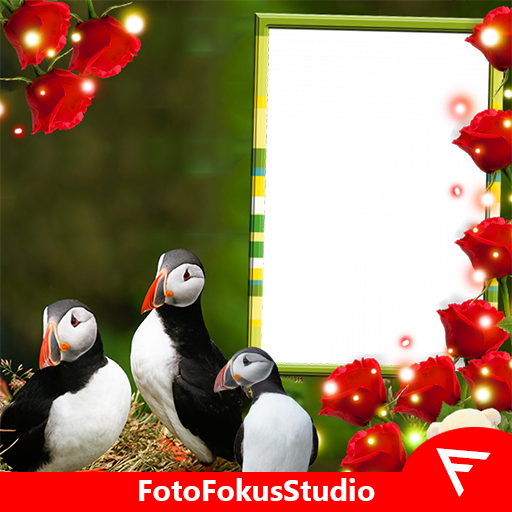 Atlantic Puffin Insta DP आइकन