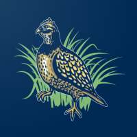 Quail Tools on 9Apps