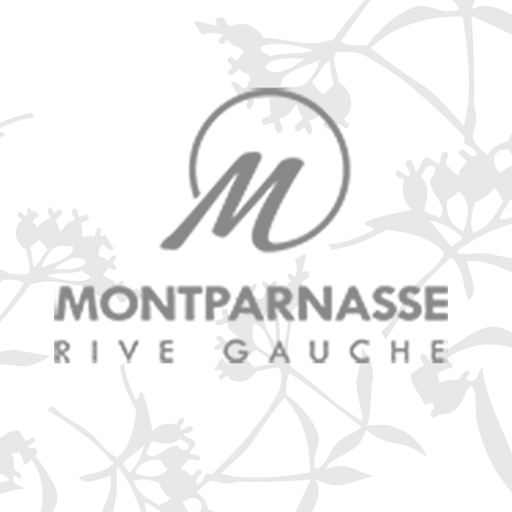 Montparnasse Rive Gauche icon