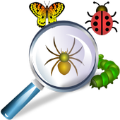 Hidden Object Puzzle Find hiding bugs, spiders etc icon