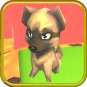 The Floor is Lava : Doge Dog Edition