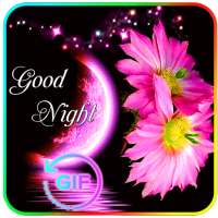 Good Night images GIF on 9Apps