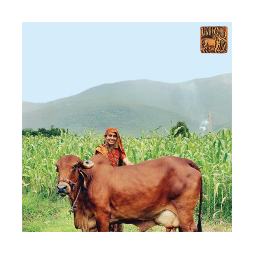 Dairy Husbandry Practices icon