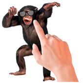 Tickle Talking Monkey icon