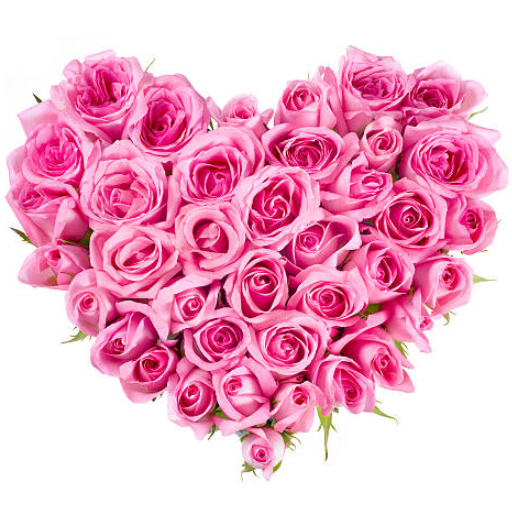 Flower Stickers For WhatsApp icon