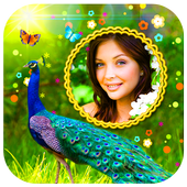 Peacock Photo Frames HD иконка