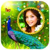 Peacock Photo Frames HD on 9Apps