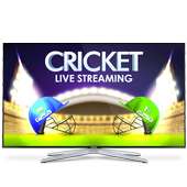 Cricket Live Stream
