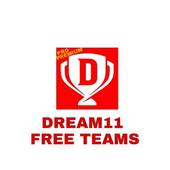 Dream11 fantasy cricket guru icon